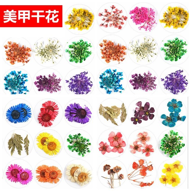 Nail Art Dried Flowers Lace Flowers Snowdrop Embossed Flowers 12 Colors Baby's Breath Needle Chrysanthemum Small Chrysanthemum Five-Petal Flower