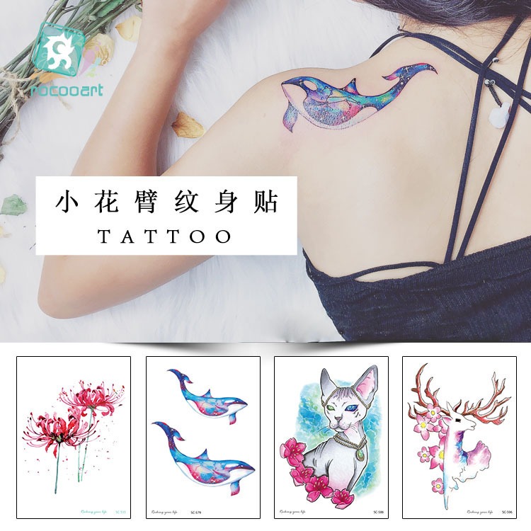 New waterproof tattoo stickers original dolphin cartoon animal tattoo stickers small fresh temporary tattoo stickers wholesale