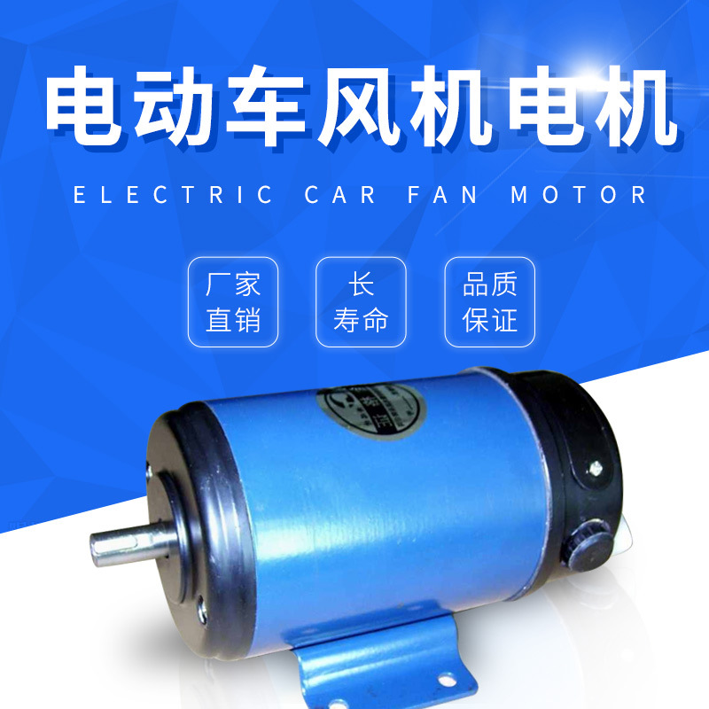 【淄博格瑞特】厂家直销 量大从优  微型电动机 电动车风机    S6