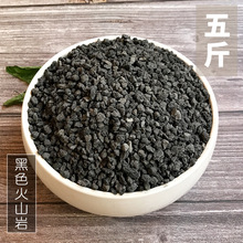 黑色火山岩颗粒多肉植物铺面石火山岩园林花卉水族过滤造景 5斤装