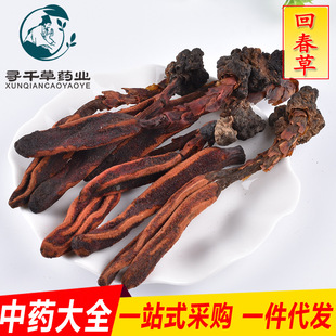 ���l�F؛ �ش��� ����� ���ϲ� ��ș�Ĵ�ȫ ���w�꽛�I �\�д���