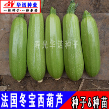 �������������J�N�����ϽǹϺ��J�ϷN��Խ���ͺ��紺�͹ϲ���