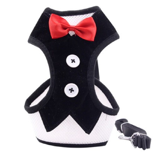 Pet Leash Set with Bow Tie Dress for Dogs - Manufacturer Direct Supply Back Harness Pet Harness