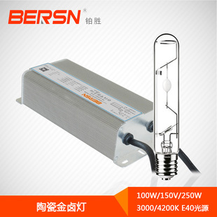 250W Platinum Optoelectronic Ballast Lamp Accessories Drive Gas Halide Light Source Bulb Accessories
