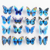 Realistic double-layer magnetic layout with butterfly PVC for kindergarten, pin, decorations, 12cm, 3D