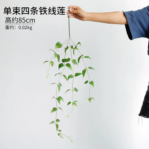 Single four iron line lotus