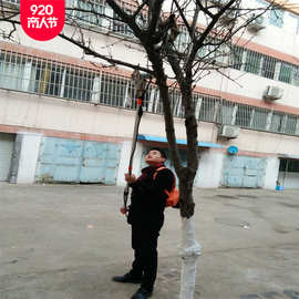 高空可伸缩高枝剪 电动树枝修剪机 果树电动剪枝机 图片果园