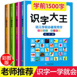 3-6岁正版识字大王学前1500字宝宝婴幼儿童汉字拼音数字早教书籍