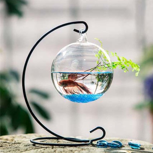 Hanging glass transparent succulent fish tank vase small glass fish tank creative fighting fish tank mini fish tank