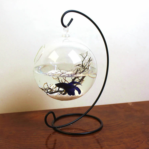 Hanging glass transparent succulent fish tank vase small glass fish tank creative fighting fish tank mini fish tank
