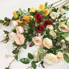 ������^�O��õ 6�^�_��õ�軨��c�b��û�Y��ˇ�Ҿ��OӋõ��