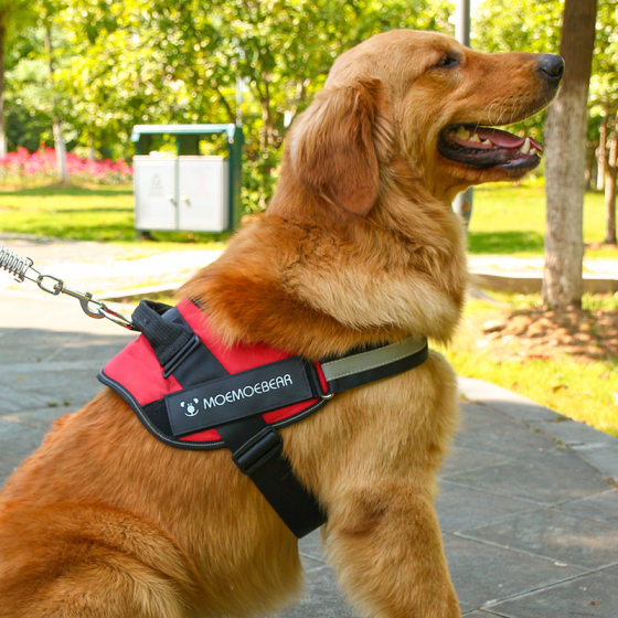 Pet Supplies Large Dog Explosion-proof Golden Retriever K9 Chest Strap Pet Leash Dog Leash Bomei Dog Chest Strap
