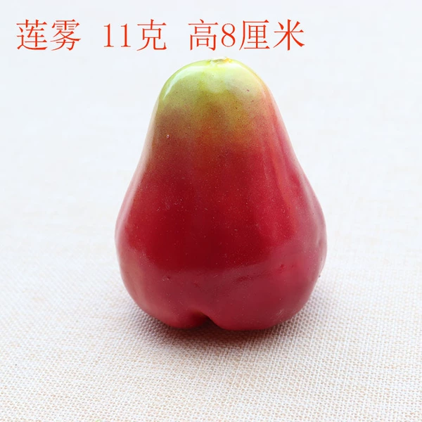Wax apple