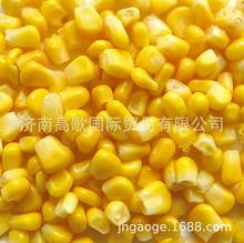 ���ҳ����ṩ�ٶ�������maize/��     ��ӭѡ��
