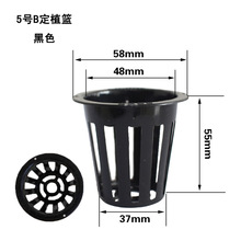厂家销售PP料定植杯 水耕白色定植杯 49-56mm 5号B水培绿植