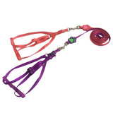 Фабрика прямая продажа продуктов домашних животных домашние животные направление веревка собака голые мальчики лучше тибетские нейлоновые плюшевые плюшевые собаки и собачья веревка