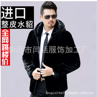 2024�¿�ˮ��ë��Ƥ�������b�̿����׷�Ƥ�ݼ��L�����Z�q��Ƥ����