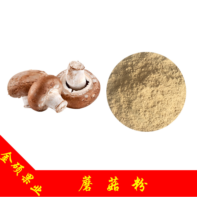 蘑菇粉99%  富硒蘑菇粉  蘑菇粉 脱水蘑菇粉 双孢蘑菇粉 厂家现货