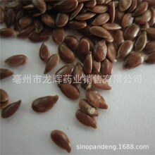 棕黄色生熟亚麻籽胡麻子枕头玩具填充热敷冷敷灭菌出口FLAX SEED