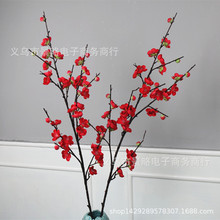 ��Ʒ÷��֦�����֦�t÷�Ҿ��Ʒ�D÷����c�b����һ���֦���l