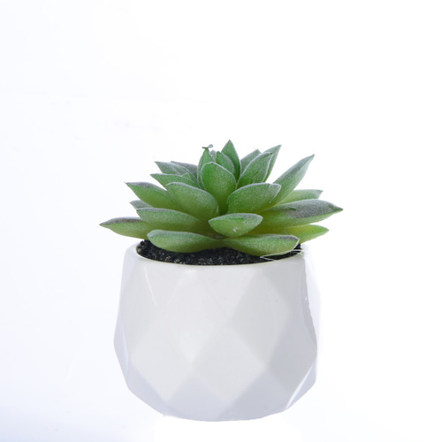 Artificial Flower Succulent Terrarium Creative Shelf Decor, Factory Direct Amazon Artificial Flowers, One-Time Order Plant