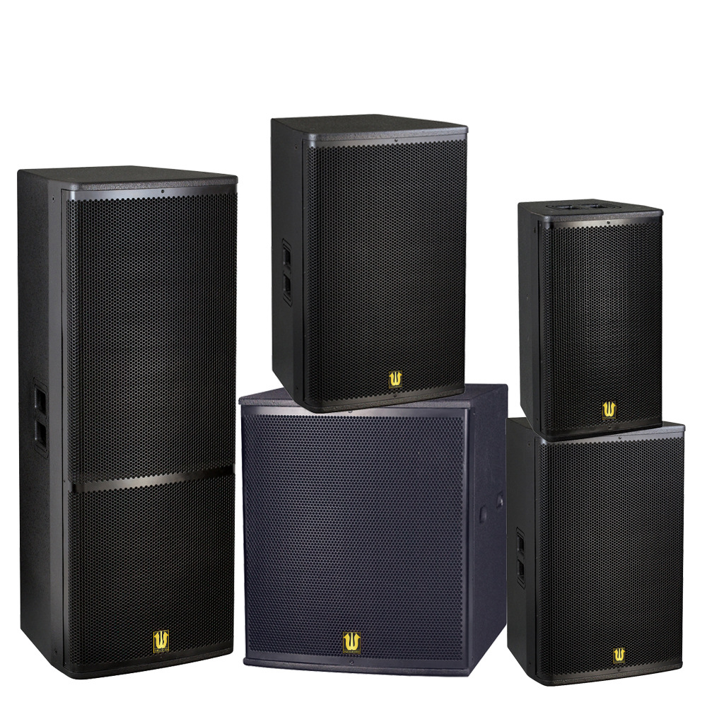 厂家供应多功能音箱100W 200W 演出专用音箱分体式音响音箱