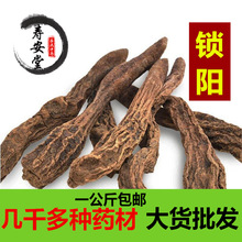 iꖂș iȻiꖂȻoaiƬ l]