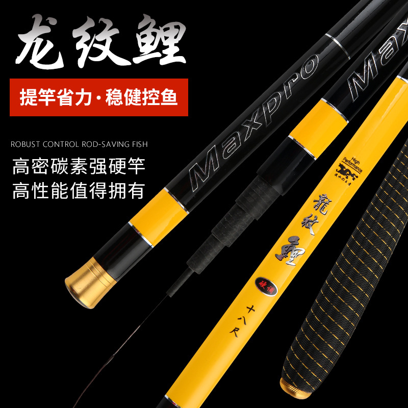 37 yellow dragon carp