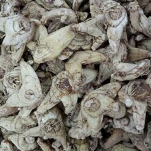 �в� ��ܸ �ʸ�  ���m ���m  һ�����l ���Mĥ��