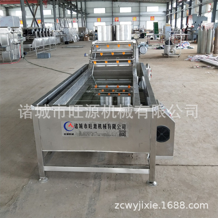 水果清洗机 全自动喷淋气泡清洗机 厂家提供果蔬清洗流水线