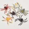 Large color spider