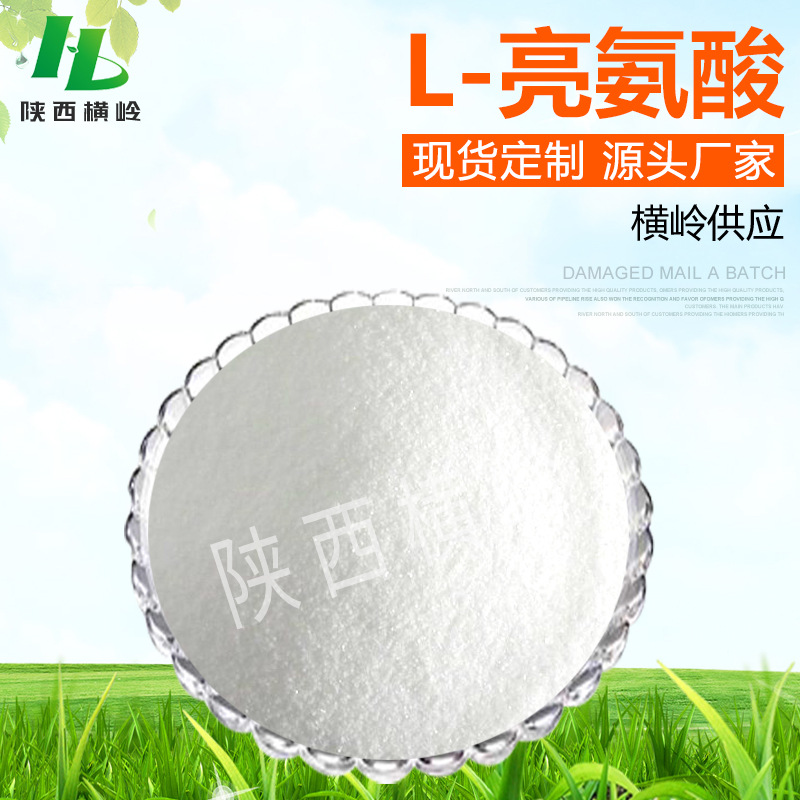 L-亮氨酸 含有白氨酸 横岭供应 原料  L-亮氨酸粉 1KG起 现货包邮