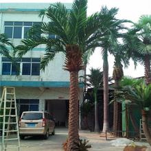 仿真海藻树图片 海藻树价格 室内外海藻树 人造海藻树 厂家直销