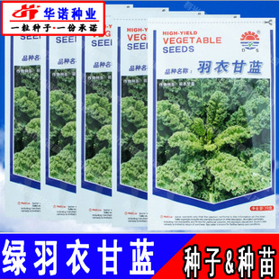 ���m���M�߲˷N���ﶬ�����{�����^�pʳ���~ĵ���|�����¸��{�N��