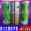 Vegetable seed wholesale four seasons planting celery seeds American Wensura paste celery seeds original 100 grams