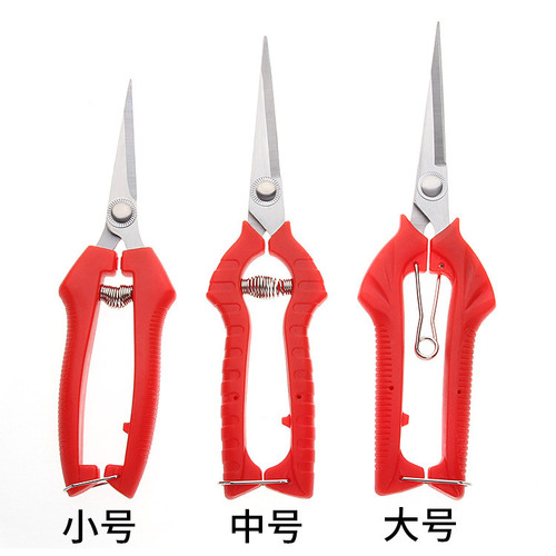 Gardening pruning shears, fruit picking, flower pruning, thin fruit pepper picking, grape fruit gardening agricultural fruit tree scissors, branch shears