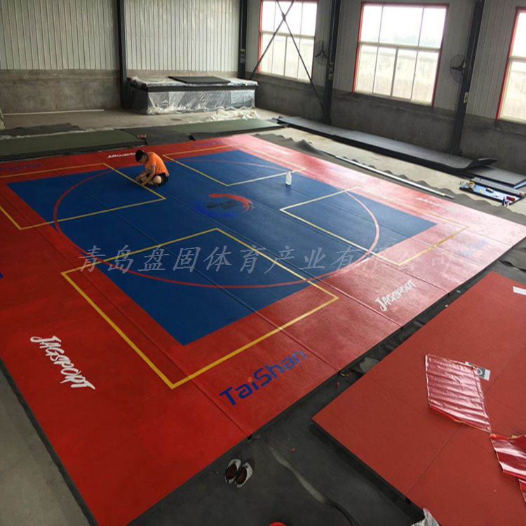 Rolling Mat, Taekwondo Jiu-Jitsu Mat, Muay Thai Fighting, Sanda Fighting, Martial Arts, Professional Protective Mat, Sports Gymnastics Mat, Shock Absorption