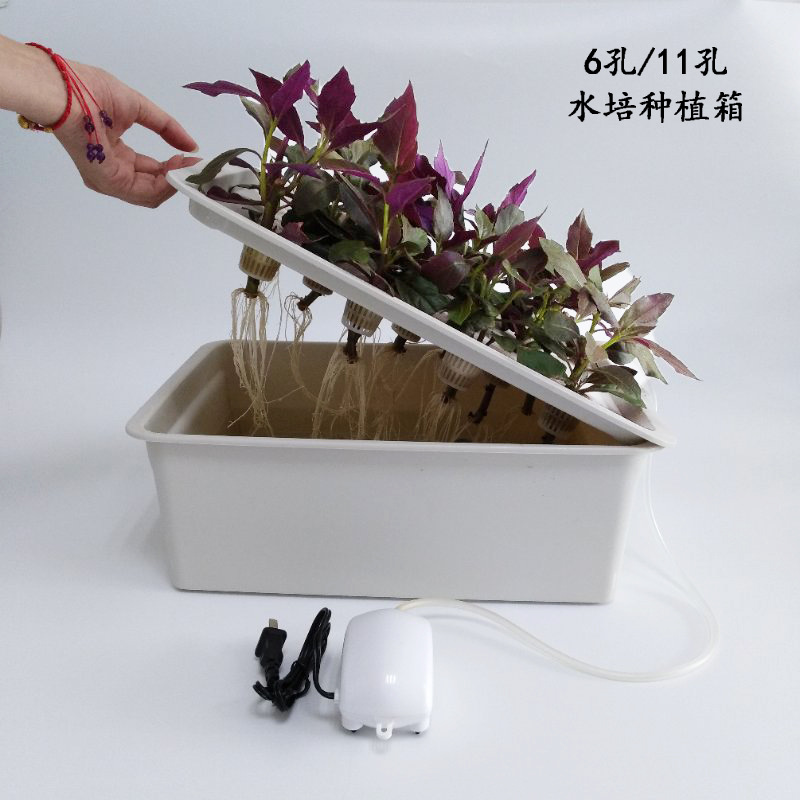 Hogar estático caja de plántulas hidropónicas balcón caja de plantación de vegetales caja de planta hidropónica caja de plantación de cultivo sin suelo