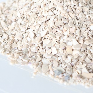 ؐ���� ���b��������� ؐ�������ԭ��