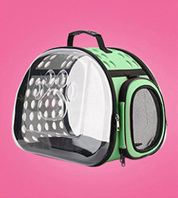 청록색 잎 녹색