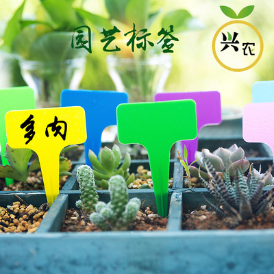 升级版彩色T型插地牌花卉插地牌园艺标签植物标签表面磨砂加厚|ru
