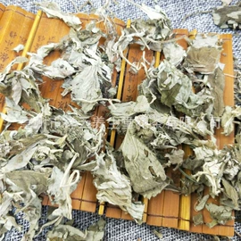 其他药食同源;决明子;其他滋补