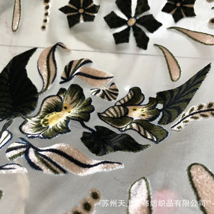 ����Ů�b������ɫ����q����ӡ�����z�q�������ϳ��ڷ��b�W���L��