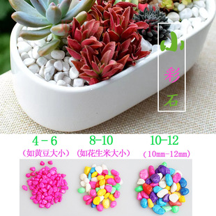 ��ɫʯɳʯ�Ӄ�ͯ�ʘ����b��쾰Ⱦɫ����ֲ�����Ƶ��ɰ�Z��ʯ