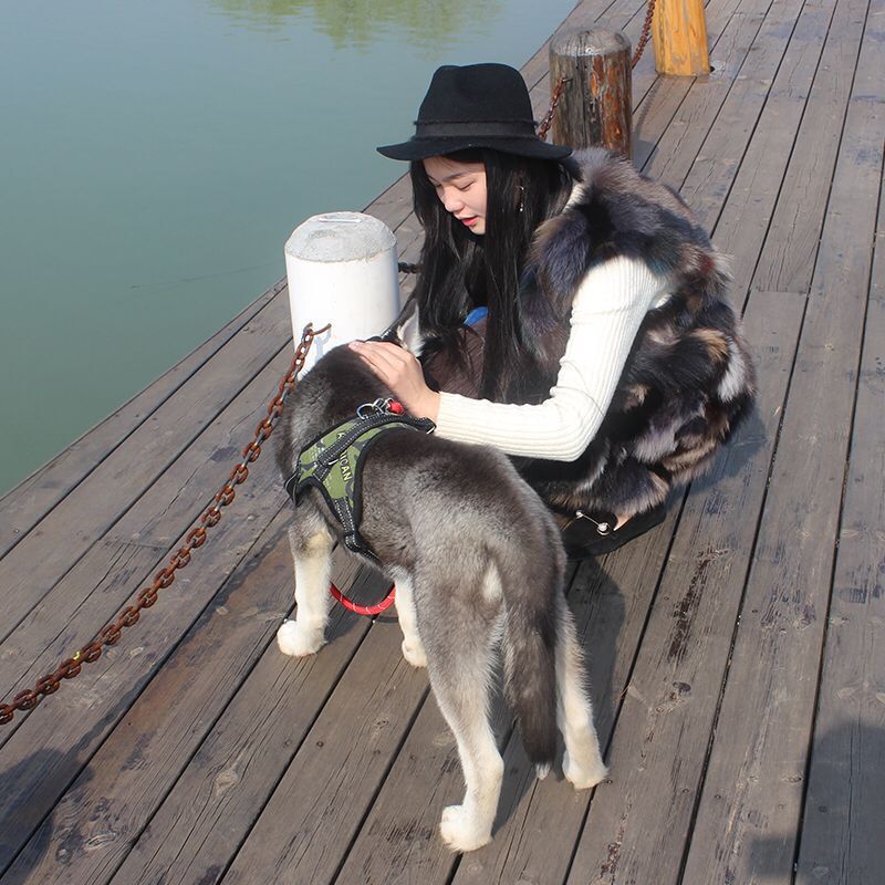 Correa para mascotas mediana y pequeña correa de pecho de perro Cadena de perro para mascotas cuerda para caminar suministros para mascotas
