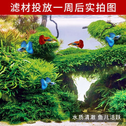 Fish tank filter material far infrared bacteria house ecological turtle tank filter material aquarium filter material ceramic ring biochemical ball