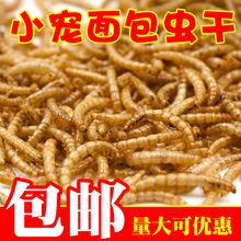 面包虫干 批发黄粉虫仓鼠用品粮食零食刺猬鱼鸟饲料鸟食1kg包邮