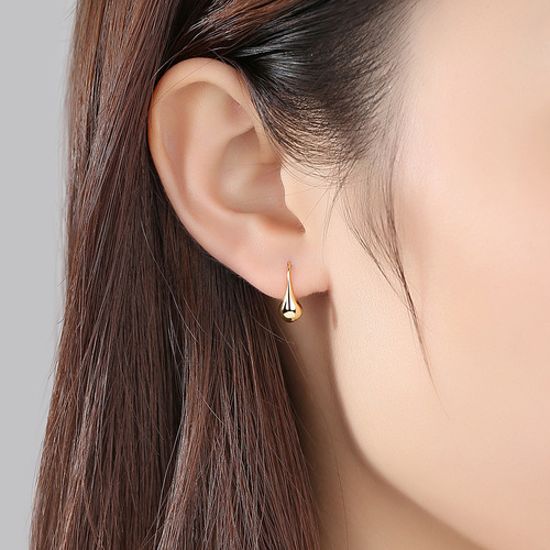 PAG&MAG all-over sterling silver earrings S925 silver earrings simple ear hook style earrings exquisite jewelry wholesale