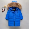 Royal Blue Gado Mao