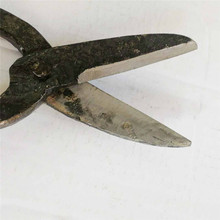 FƤ^N^Q12FƤټIֹ呴A䓼